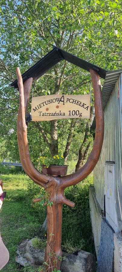 Mietusiowa Pchelka